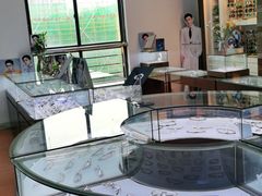 -云镜眼镜加工中心(南环路店)