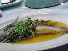 巴西黄鱼-品悦酒店(三林古镇店)