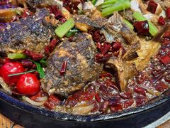 -老板恋上鱼(恒隆广场店)