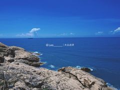 -广东惠东海龟国家级自然保护区