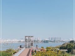 -立新湖公园