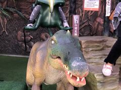 -陕西自然博物馆