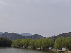 -鸣鹤古镇