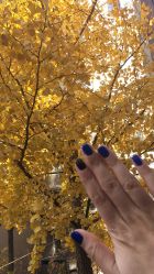 点击看大图 -恐龙·美甲美睫