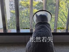 -福州肆爪动物医院