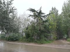 -汉长安城未央宫国家考古遗址公园