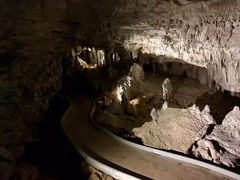 -怀托摩萤火虫洞