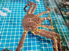 -三亚火车头万人海鲜广场