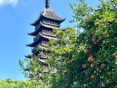 -常熟方塔园