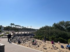 -宝安西湾红树林湿地公园