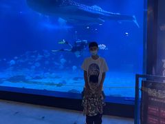 -烟台海昌鲸鲨海洋公园