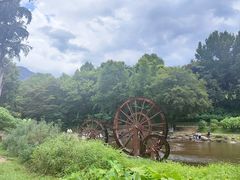 -广州市石门国家森林公园