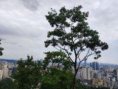 -黔灵山公园