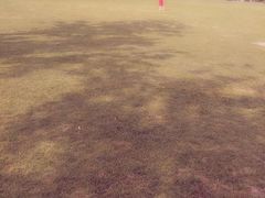 -昆山城市生态森林公园