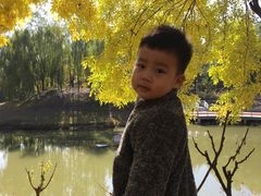 -大兴滨河森林公园