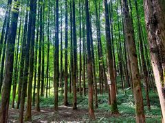 -山王坪喀斯特国家生态公园