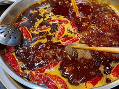 鲜毛肚-飘香火锅(玉林西路店)