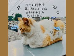 -前叁門