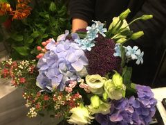 -Flannel Flowers(IFC)