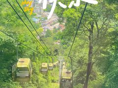 -黔灵山公园