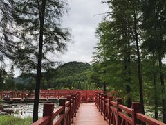 -广州市石门国家森林公园