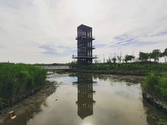 -春花秋色城市公园