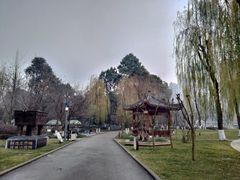 -温江公园