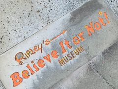 -信不信由你博物馆