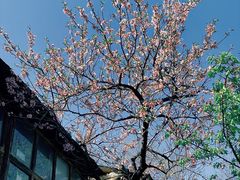 -京西十八潭风景区