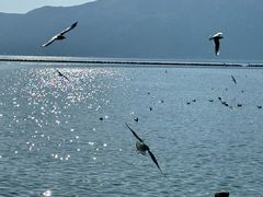 -昆明冠生园·蛋糕·面包(南强街店)