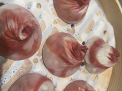 -苏小柳点心·手作小笼包(浦东嘉里城分院)