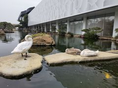 -罗红摄影艺术馆