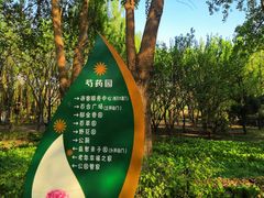 -长春公园(普阳街道)