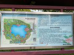 -莲花池公园