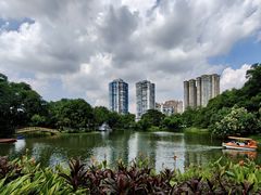 -晓港公园