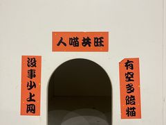 -楼上猫咖(罗湖店)