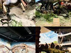 -辽宁古生物博物馆