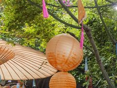 -古今茶语·峨眉山有机茶体验馆