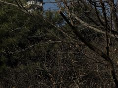 -北京十三陵国家森林公园蟒山景区