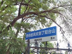-阳台山自然风景区