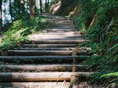 -广州市帽峰山景区