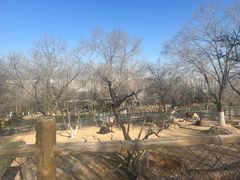 -青藏高原野生动物园