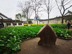 -绍兴鲁迅故里·沈园景区