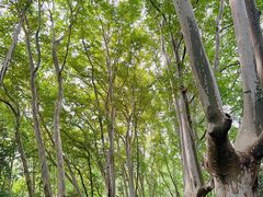 -WeLope紫金山探险公园