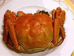 -王宝和酒家(黄浦店)