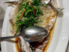 皖鱼-品泉餐厅·大盆鱼·走地鸡