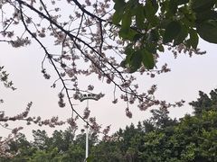 -重庆平顶山公园