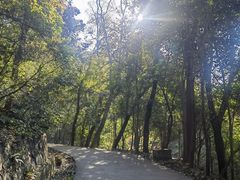 -紫金山山顶公园