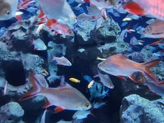 -成都浩海立方海洋公园