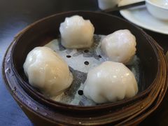 添运来虾饺皇-添运来(茶园奥园广场店)